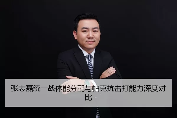 张志磊统一战体能分配与帕克抗击打能力深度对比