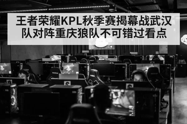 王者荣耀KPL秋季赛揭幕战武汉队对阵重庆狼队不可错过看点
